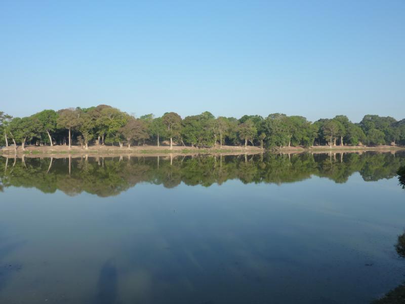 Moat