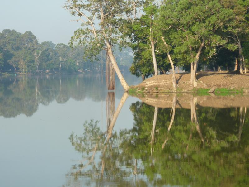 Moat