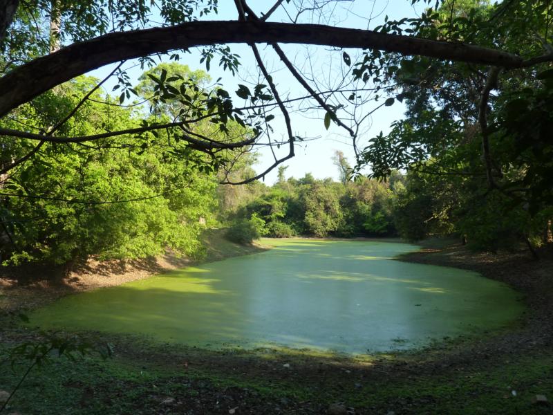 Lake View