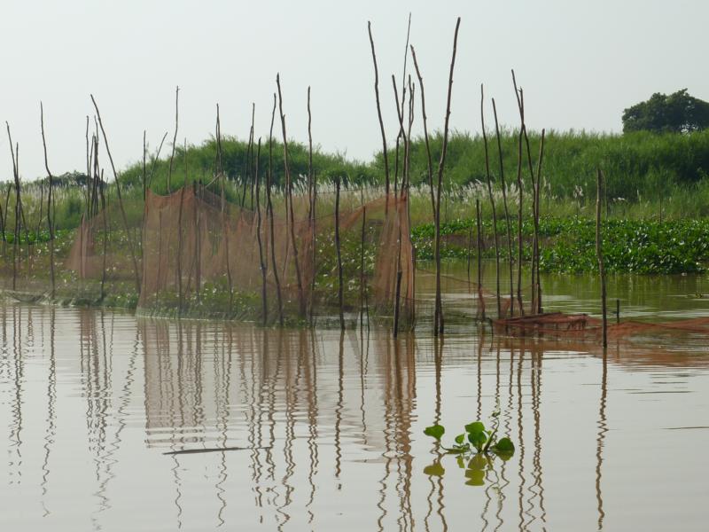 Fishing Nets