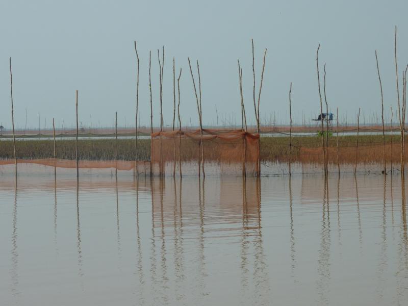 Fishing Net