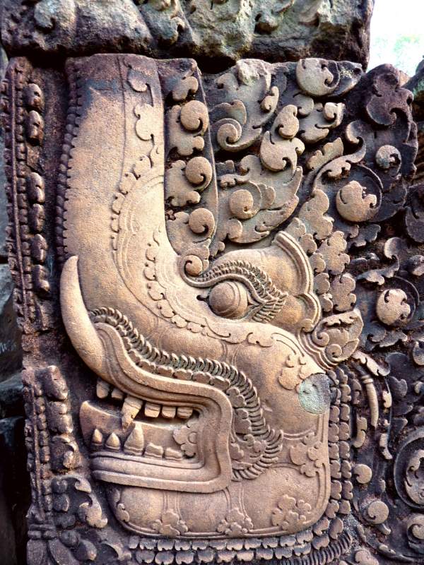 022 Naga Elephant