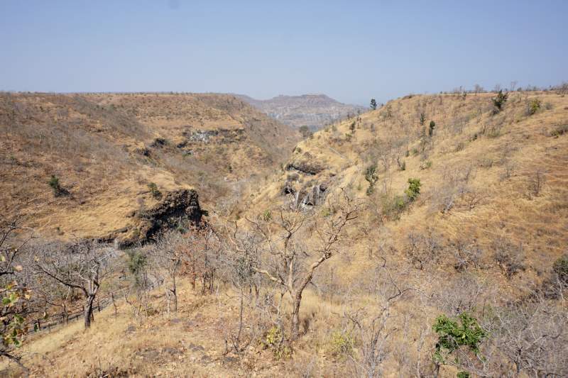 The Valley