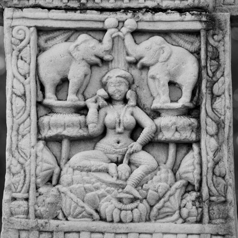 Lakshmi lustrated by Elephants