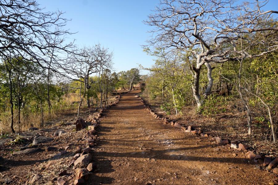 Path through the Park