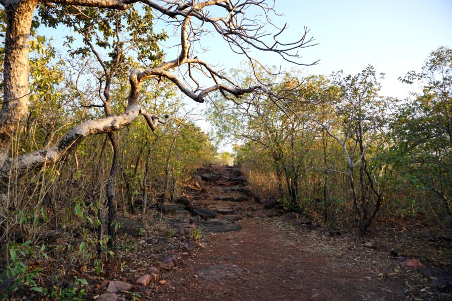 Pathway