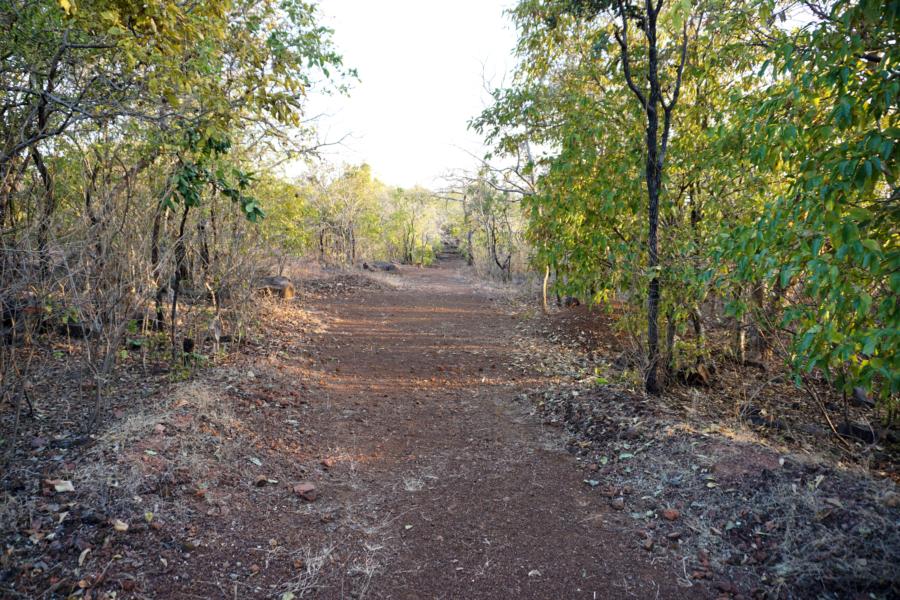 Pathway