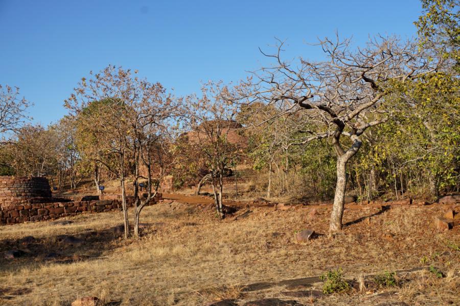 First Glimpse of the Stupas