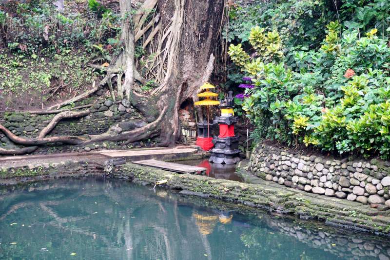 059 Tree Shrine, Ken Dedes Watu Gede