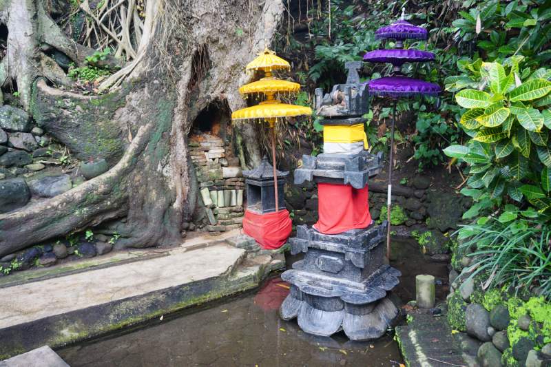060 Tree Shrine, Ken Dedes Watu Gede
