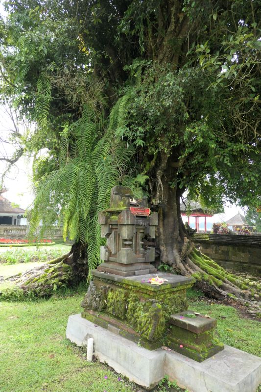 017 Tree and Shrine