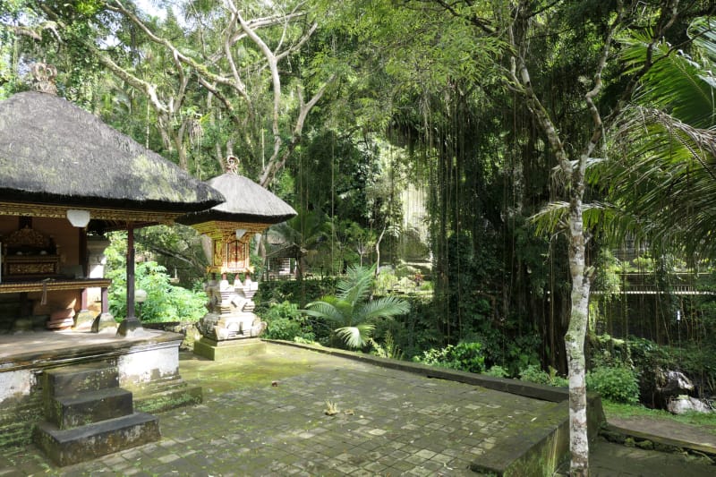 012 Shrines and Banyan Tree