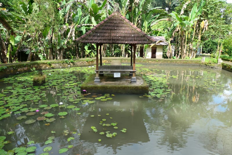 045 Lotus Pond and Hut
