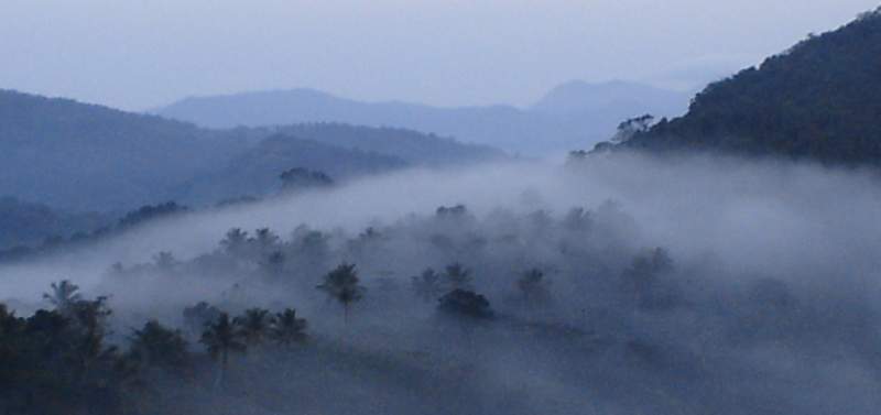 Misty Morning, Sri Lanka