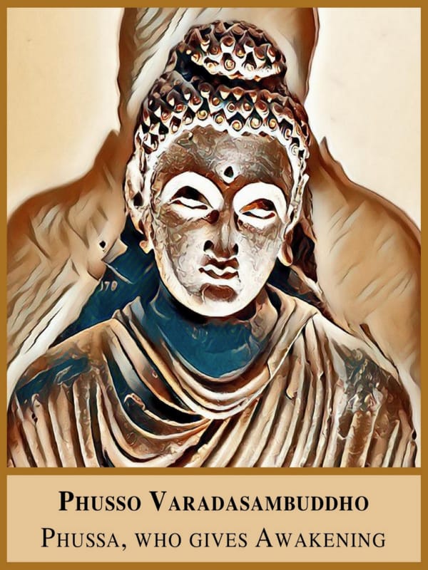 18 Buddha Phussa