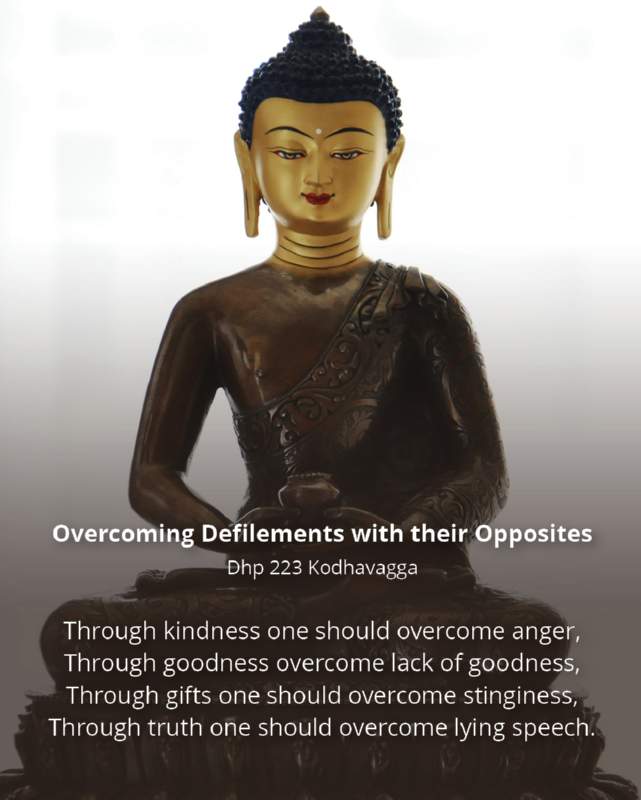 044 Overcoming Defilements with their Opposites