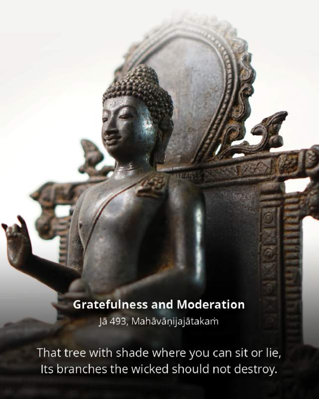 082 Gratefulness and Moderation
