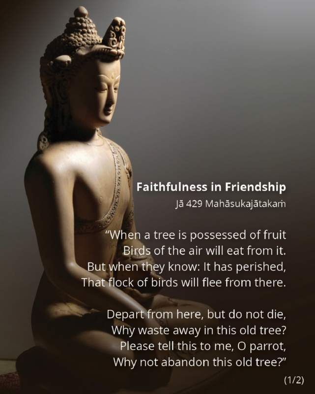 101 Faithfulness in Friendship 1