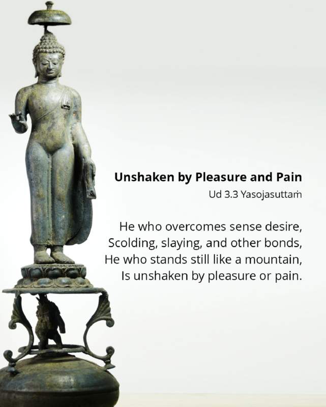 155 Unshaken by Pleasure and Pain