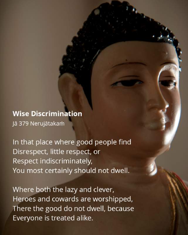 208 Wise Discrimination