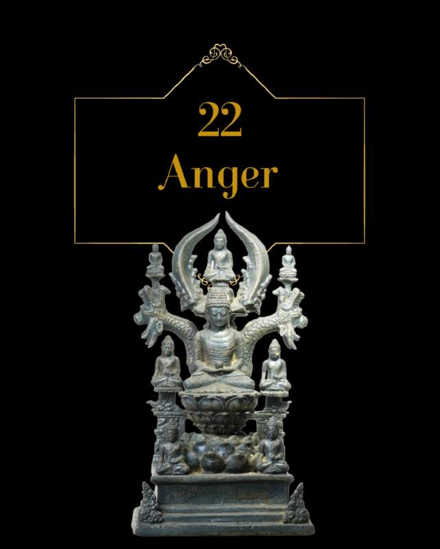 251 Chapter 22 Anger