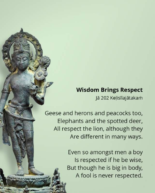 273 Wisdom brings Respect