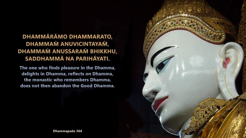 Dhammapada 364
