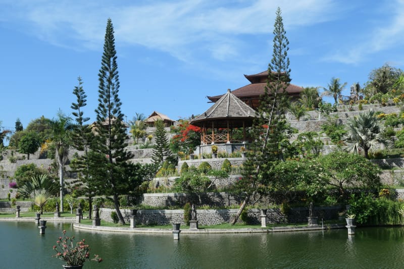Trees over Water Palace