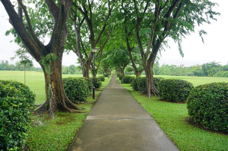 04 Garden Path