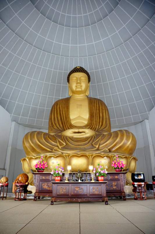 41 Buddha in Hall of No Form, from Below