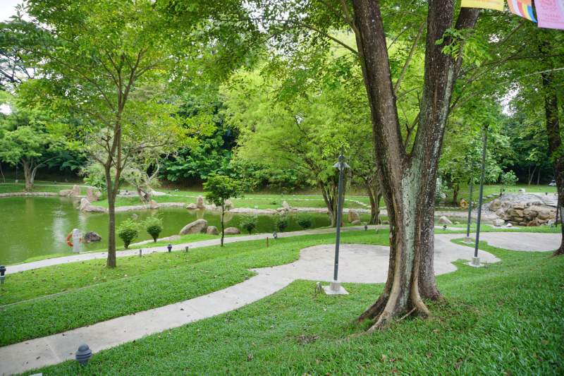 43 Pond and Paths