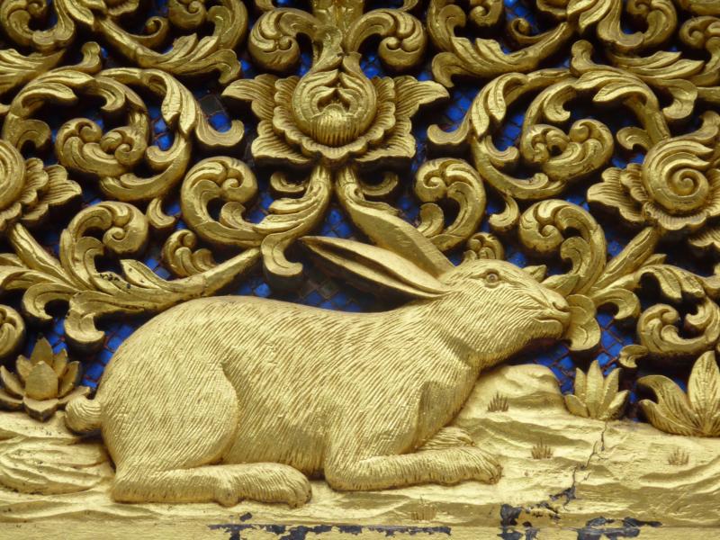 Hare