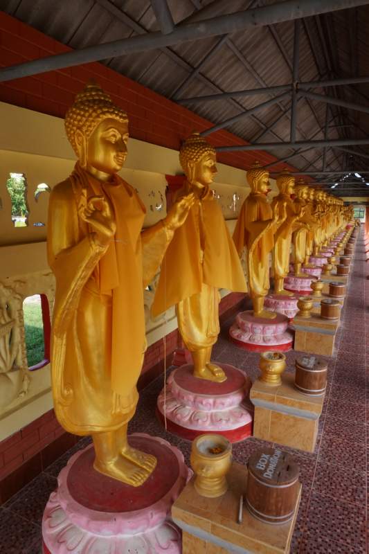 Rows of Buddhas