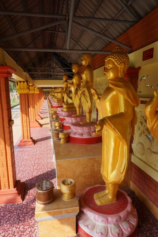 Rows of Buddhas