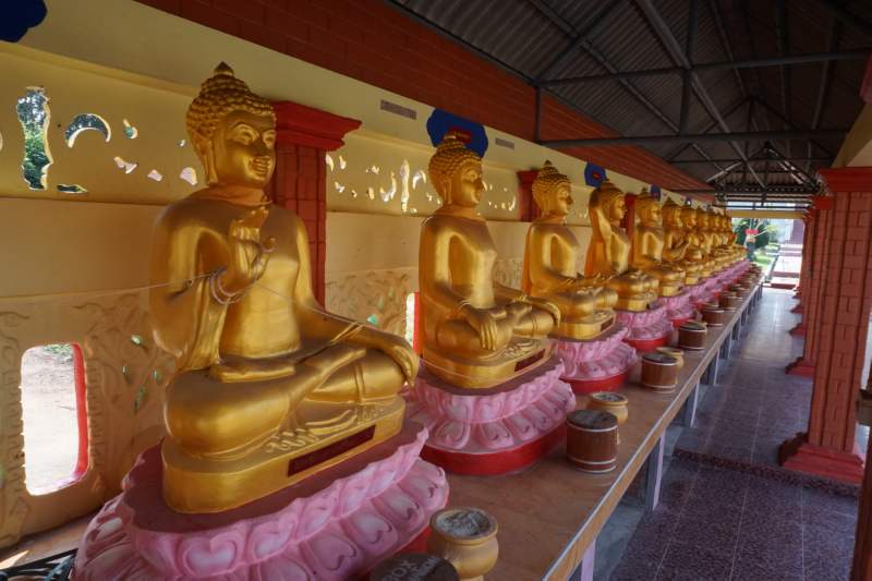 Rows of Buddhas
