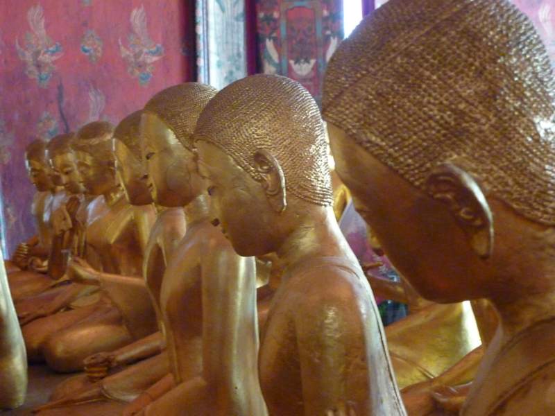 19 Row of Bhikkhunis