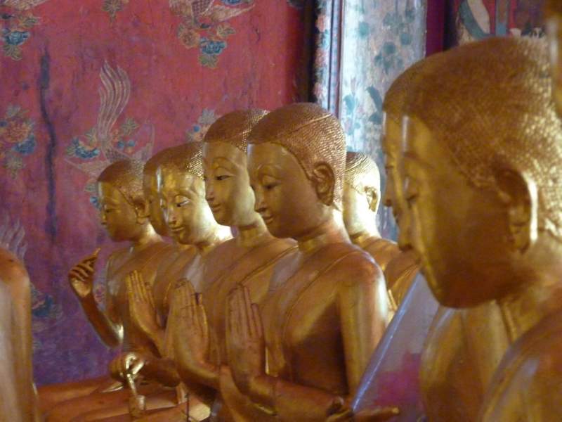 Row of Bhikkhunis